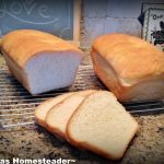 An easy, fluffy sandwich bread loaf recipe. #TexasHomesteader