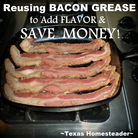 We don't use bacon grease every day but it's still a budget saver in my kitchen. Much flavor is added to typical staples too #TexasHomesteader