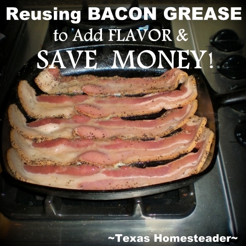 https://texashomesteader.com/wp-content/uploads/2017/02/Square-Reusing-Bacon-Grease-TexasHomesteader.jpg