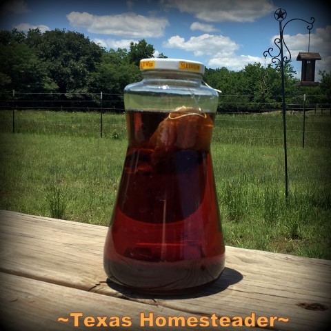 Hourglass shaped jar with tea bag outside to brew sun tea. #TexasHomesteader