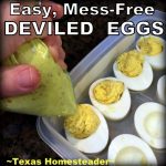 Easier way to transfer deviled eggs into hollowed egg whites using a plastic bag with the corner cut away. #TexasHomesteader