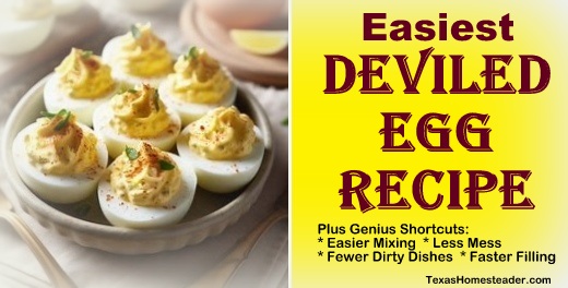 Homemade deviled eggs are easy to make and with these shortcuts there are faster filling & fewer dishes and mess! #TexasHomesteader