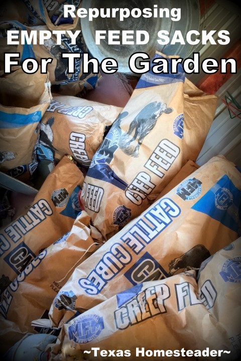 Did you know you could use plain heavy-duty empty feed sacks to reduce or eliminate weeding in your garden? And preserve soil moisture? AND feed the earthworms?? Check it out. #TexasHomesteader #Repurposing #PaperBags #Garden #SaveTime #SaveMoney 