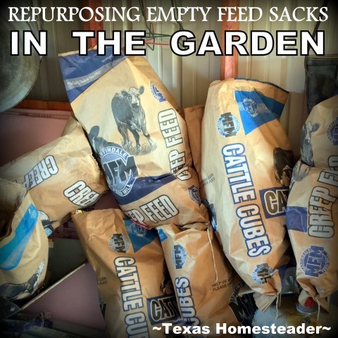 I take empty feed sacks and opt to use them in my garden. They'll not only save me untold hours pulling weeds but also help my soil! #TexasHomesteader