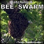 How To Build A Quick 5-Frame Beehive Nuc Box | ~Texas Homesteader~