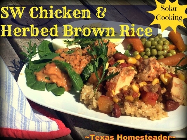 https://texashomesteader.com/wp-content/uploads/2017/05/SW-Chicken-herbed-brown-rice-solar-cooking-sun-solar-oven-TexasHomesteader.jpg