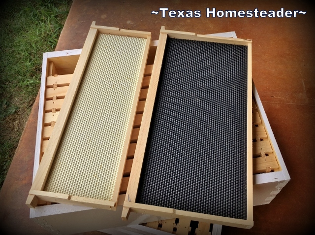 It's time to add a honey super box to our beehives. The bees will fill it with the sweet honey we crave! #TexasHomesteader