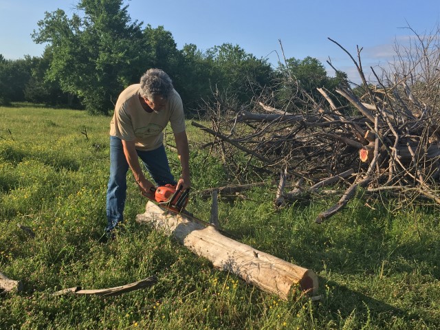 Chainsaw and cedar log in burn pile. #TexasHomesteader