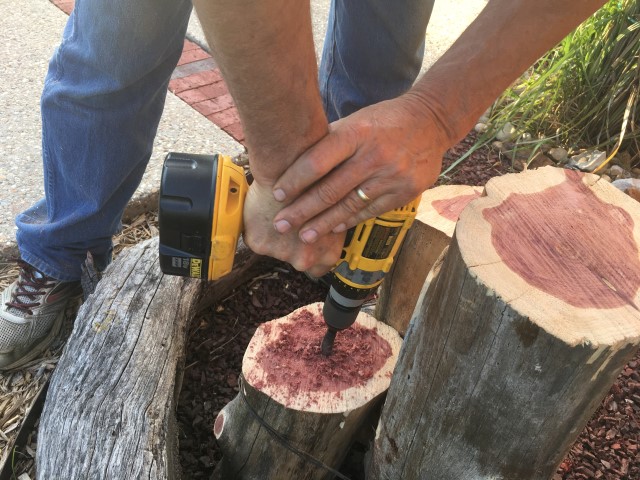 I made a cute rustic 3-tier cedar log solar light feature for my home's front walk. I love the way it turned out and it was inexpensive #TexasHomesteader