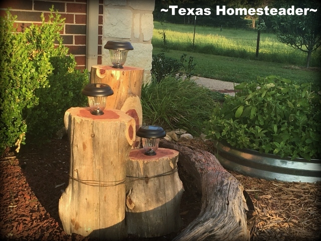 I made a cute rustic 3-tier cedar log solar light feature for my home's front walk. I love the way it turned out and it was inexpensive #TexasHomesteader