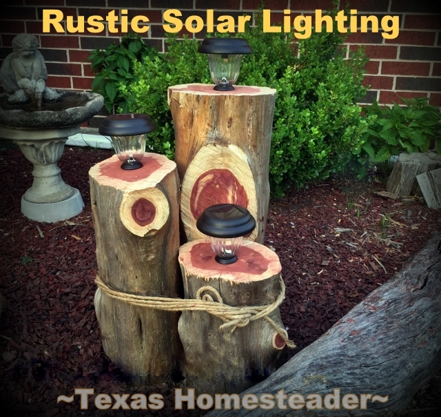 I made a cute rustic 3-tier cedar log solar light feature for my home's front walk. I love the way it turned out and it was inexpensive #TexasHomesteader