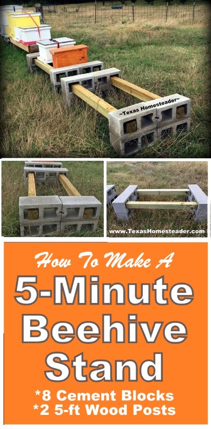 Simple apiary beehive stand can be put together in 5 minutes using eight cement blocks and two 5-ft posts. #TexasHomesteader