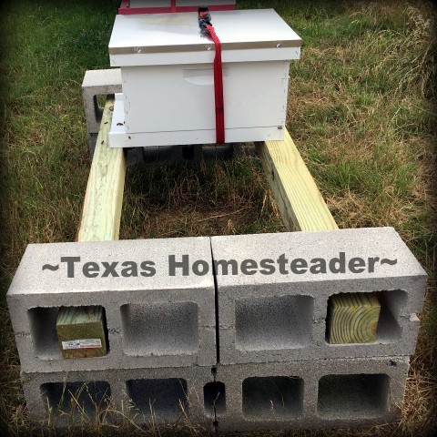 Beehive Stands Put Together In 5 Minutes? YES! We're Using Concrete Cinder Blocks & 4x4 Posts. Come See How Easy It Is! #TexasHomesteader
