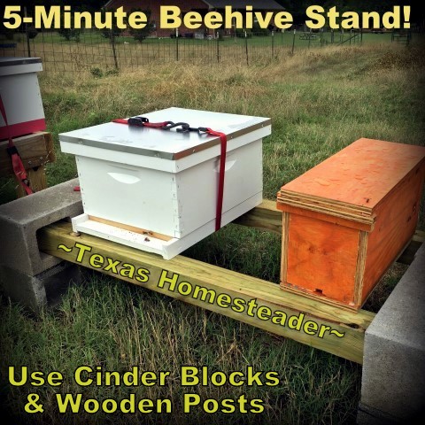 Beehive Stands Put Together In 5 Minutes? YES! We're Using Concrete Cinder Blocks & 4x4 Posts. Come See How Easy It Is! #TexasHomesteader