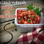 Garden Fresh Pico de Gallo uses fresh chopped tomatoes, onion, garlic, jalapenos, cilantro and a squeeze of lime juice. #TexasHomesteader