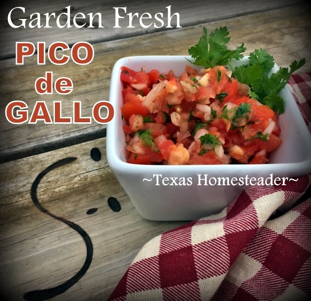 Garden Fresh Pico de Gallo uses fresh chopped tomatoes, onion, garlic, jalapenos, cilantro and a squeeze of lime juice. #TexasHomesteader