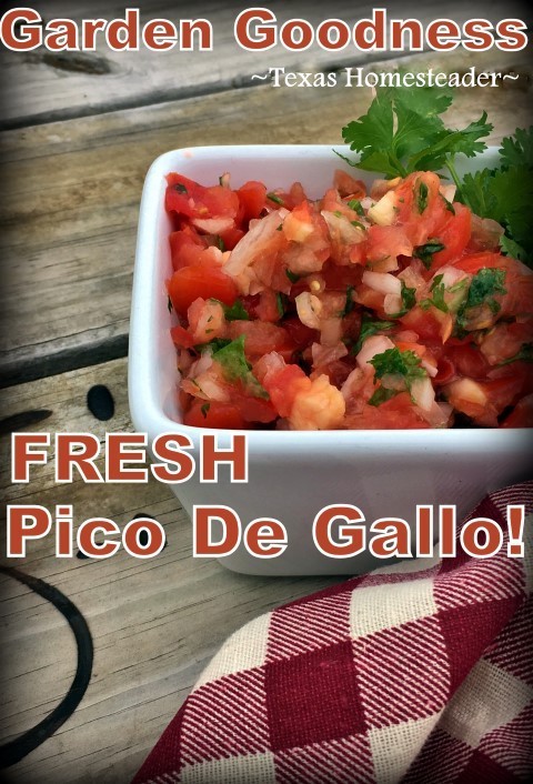 Fresh pico de gallo in minutes using fresh garden vegetables. Ripe tomatoes, onion, garlic, jalapenos and cilantro. ENJOY your veggies! #TexasHomesteader