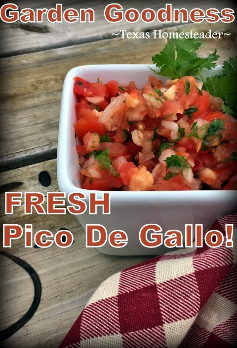 Homemade Pico de Gallo made with fresh garden vegetables. #TexasHomesteader