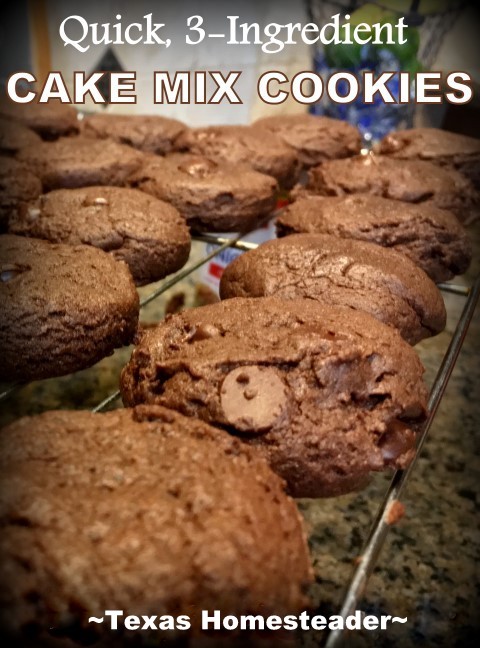 If you find yourself needing cookies in a flash try cake mix cookies. Only 3 ingredients: 1 Box of Cake Mix, 1 Stick of Butter, 1 Egg! #TexasHomesteader