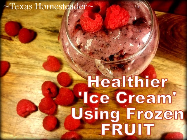 Healthy Frozen 'Ice Cream' Treat Using frozen berries & bananas. Creamy like ice cream & flavors are endless. Curious? Check it out. #TexasHomesteader