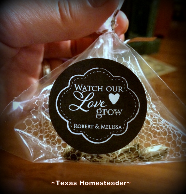 Wedding favor using sunflower seeds for guests. #TexasHomesteader