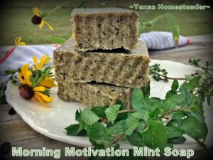 Our homemade bar soap is made with refreshing mint. #TexasHomesteader