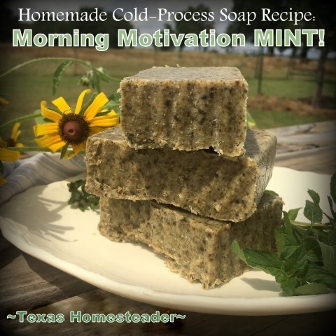 Homemade cold-process morning motivation mint soap bars. #TexasHomesteader