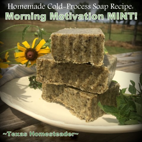 Cold Process Soap Making: How to Make Handmade Soap from Scratch - Oak Hill  Homestead