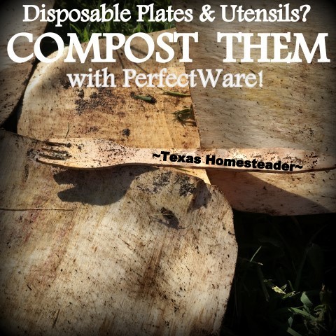 Low-waste party idea - compostable plates and utensils. #TexasHomesteader