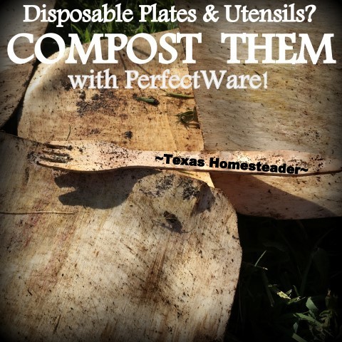 Compostable Utensils? YES! These waxed utensils are inexpensive and fully compostable. Used for backyard BBQ's & weddings! #TexasHomesteader