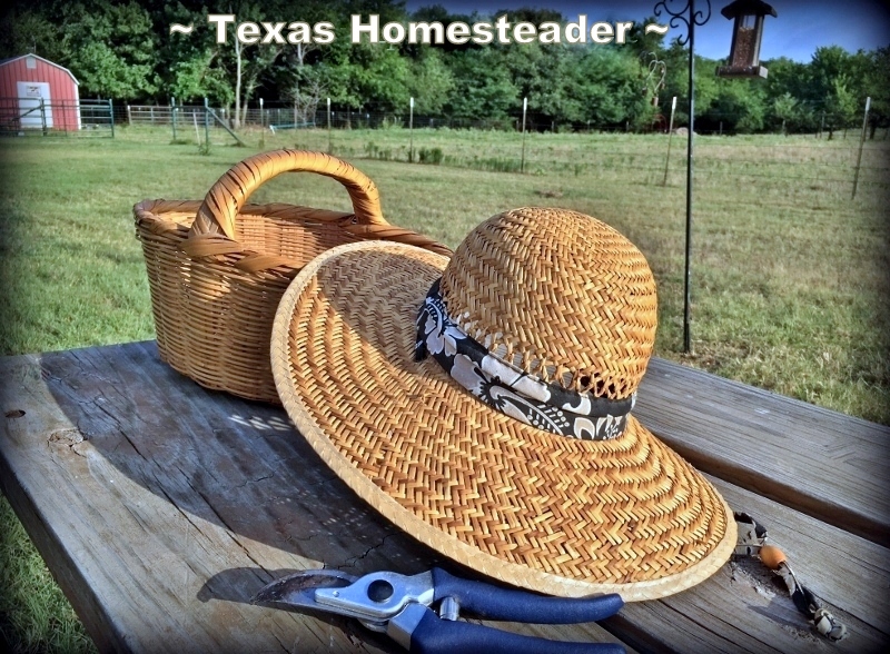 I was able to repair my best garden pruners for less than two dollars. #TexasHomesteader