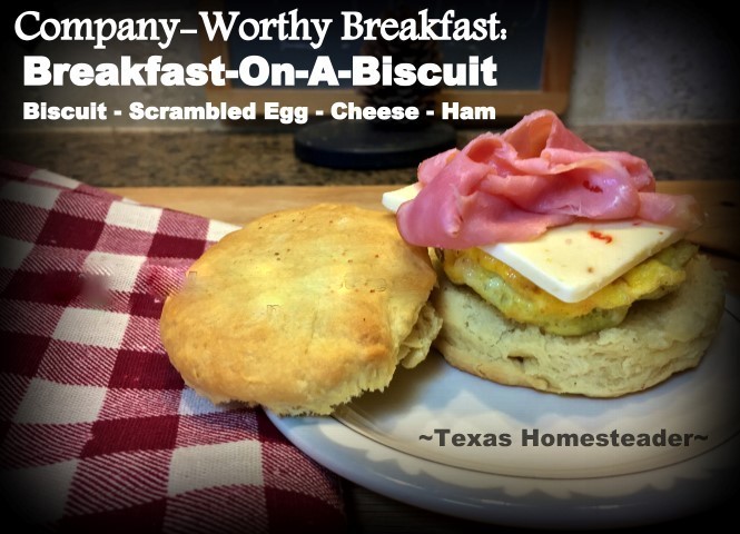 BOB, or Breakfast on a Biscuit - is a quick company-worthy breakfast of scrambled eggs, thinly-sliced ham & cheese on a biscuit. #TexasHomesteader