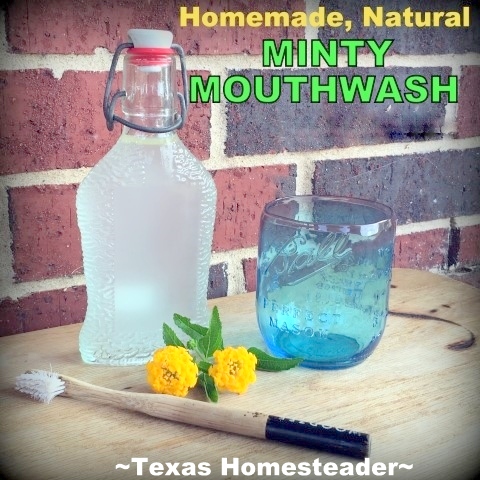 Homemade mouthwash using filtered water and mint essential oil. #TexasHomesteader