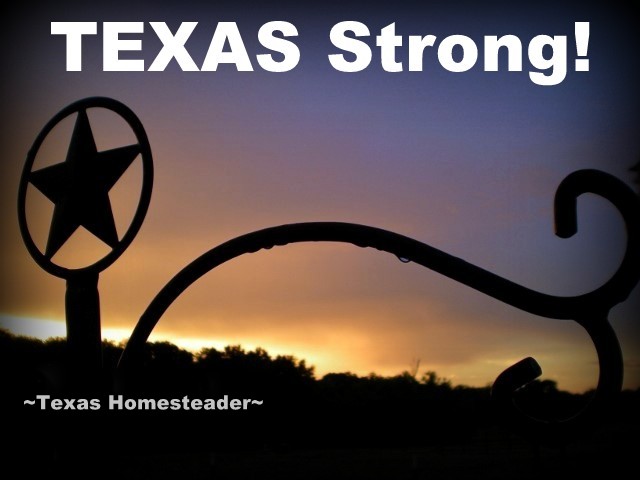 Our fellow Texans to the south of us on the Gulf Coast really took a lashing when the hurricane came to shore. But we're TEXAS Strong! #TexasHomesteader