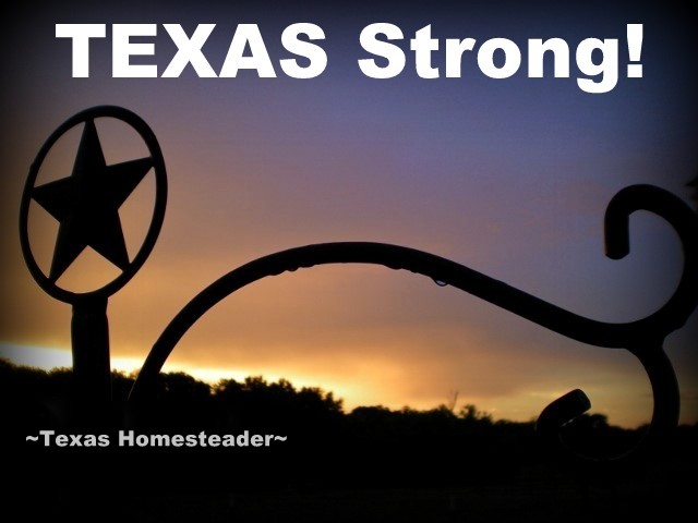 After a rare cooling mid-July rain the evening sky offered a beautiful view on our Texas ranch. #TexasHomesteader