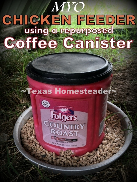 Check out this Homestead Hack & see how we used an empty, repurposed coffee canister to make a low-waste chicken feeder for cheap! #TexasHomesteader