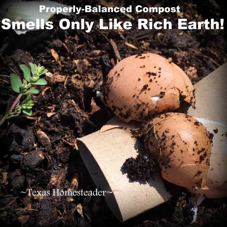 Composting is easy! Properly balanced compost doesn't stink. It smells only like rich earth. #TexasHomesteader