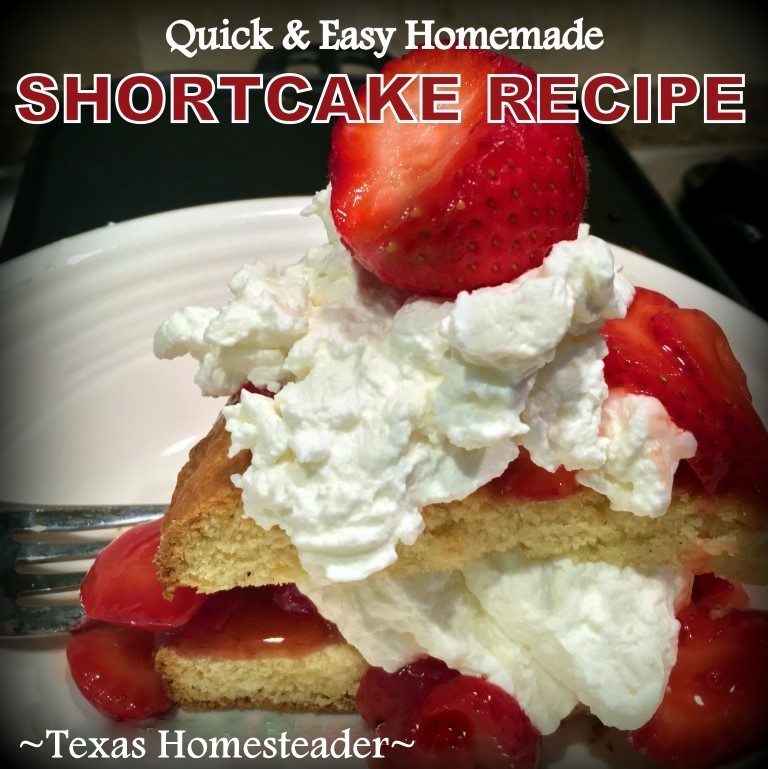 Homemade Strawberry Shortcake with whipped cream. #TexasHomesteader