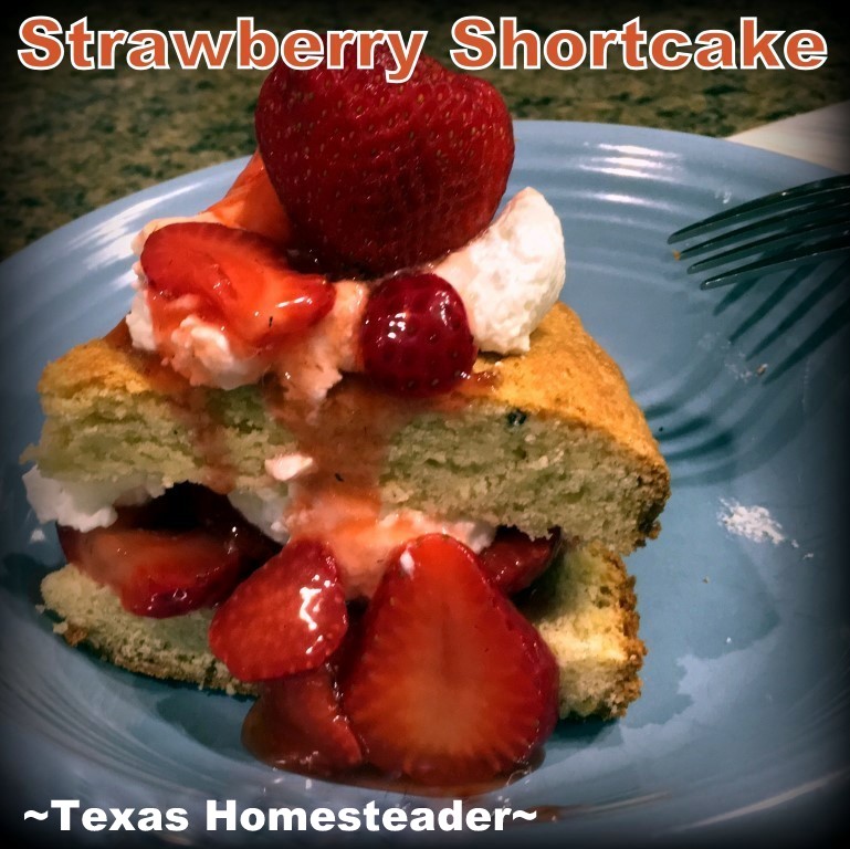 I wanted to make Strawberry Shortcake from scratch & was pleasantly surprised at how easy & quick it was - even the whipped cream! #TexasHomesteader