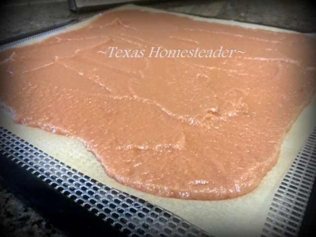 In preserving all the fresh apples my aunt shared with us, I decided to make fruit leather roll ups. It was easy! #TexasHomesteader
