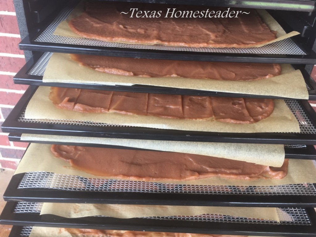 Fruit Rollups using applesauce parchmentlined trays into dehydrator