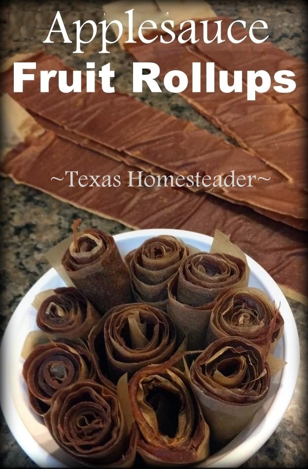 In preserving all the fresh apples my aunt shared with us, I decided to make fruit leather roll ups. It was easy! #TexasHomesteader