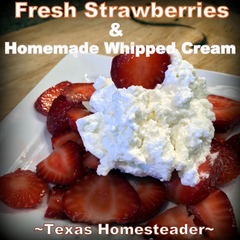 A delicious dessert needn't take lots of time, one of our favorite desserts is strawberries & fresh whipped cream. Dessert in a flash! #TexasHomesteader