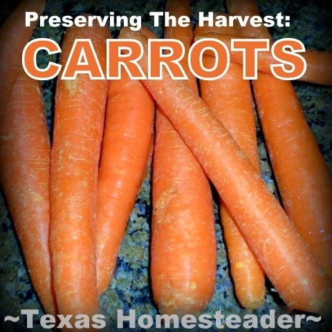 I was recently given way too many carrots to eat before they went bad. So I dehydrated them, now I have lots for winter enjoyment. #TexasHomesteader