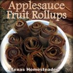 Fruit rollups made from all-natural applesauce. #TexasHomesteader