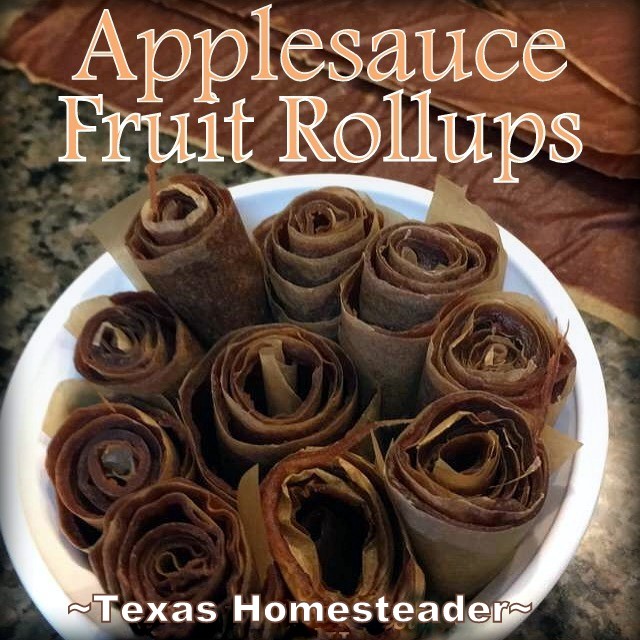 In preserving all the fresh apples my aunt shared with us, I decided to make fruit leather roll ups. It was easy! #TexasHomesteader