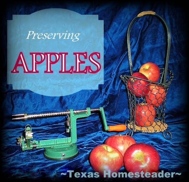 After finding a great deal on apples I dehydrated them into soft chewy chunks. Good for me, good for my wallet & good for the environment! #TexasHomesteader