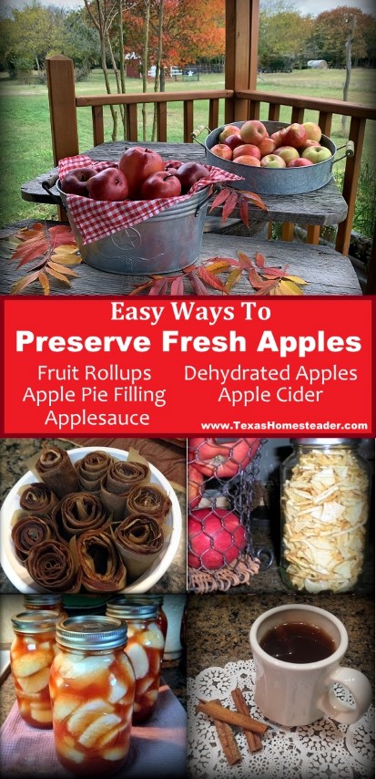 https://texashomesteader.com/wp-content/uploads/2017/11/Preserving-apples-apple-pie-filling-fruit-rollups-cider-dehydrated-apples-COLLAGE-TexasHomesteader.jpg