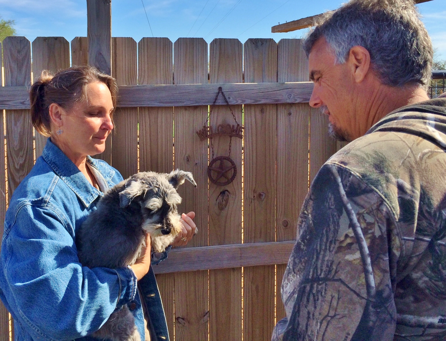 Adopting a mini-Schnauzer from a shelter. #TexasHomesteader