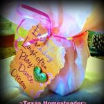 8 Eco-Friendly gift ideas. Come see the Top 10 Most Popular Homesteading Posts on my blog! Some crafts, some recipes, and some social observations too! #TexasHomesteader